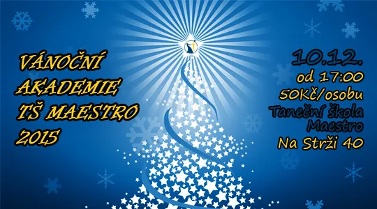 Vánoční Akademie TŠ Maestro 2015
