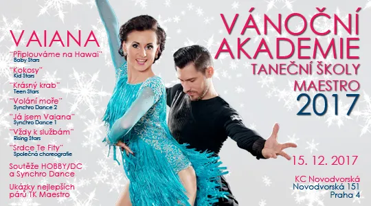 Akademie TŠ Maestro 2017